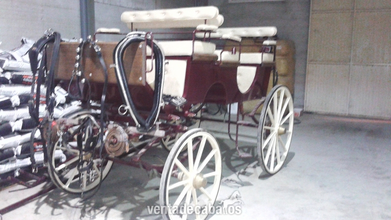 SE VENDE FAETON - Carruajes y Enganches in 