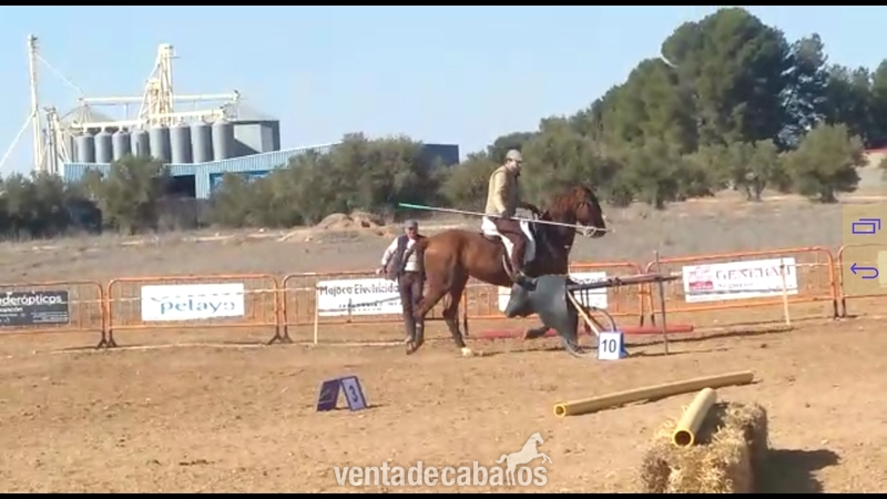 Troton frances capado in 