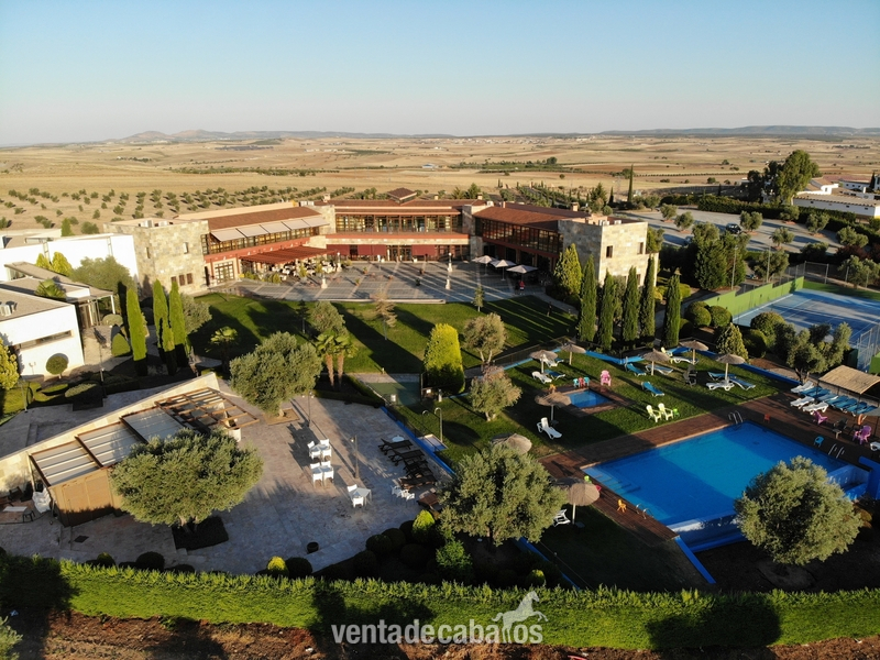 Magnífica Finca con Hípica y Alojamiento Turístico. Hotel 4 estrellas. in Nambroca