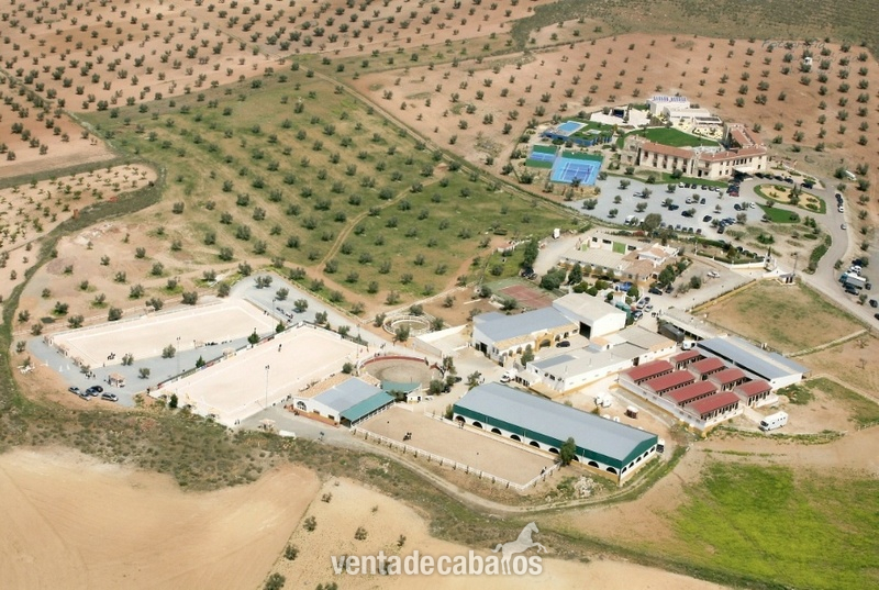 Nambroca Magnífica Finca con Hípica y Alojamiento Turístico. Hotel 4 estrellas.