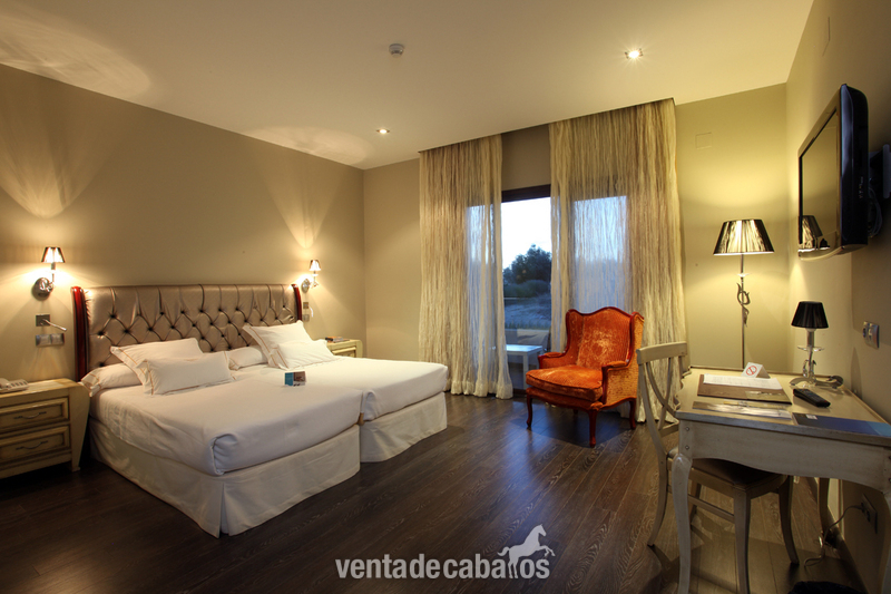 Magnífica Finca con Hípica y Alojamiento Turístico. Hotel 4 estrellas. - Finca ecuestre in Nambroca
