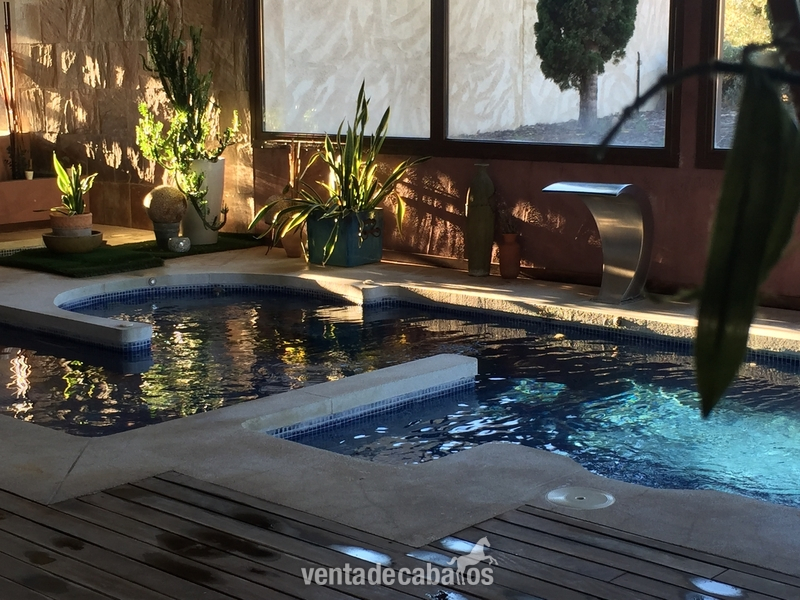 Magnífica Finca con Hípica y Alojamiento Turístico. Hotel 4 estrellas. - Finca ecuestre