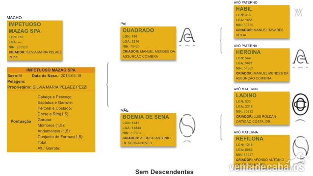 Lusitano
