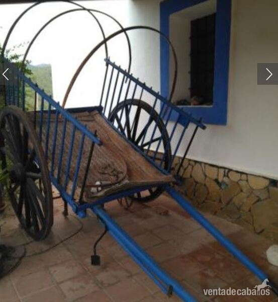 Carro segunda mano