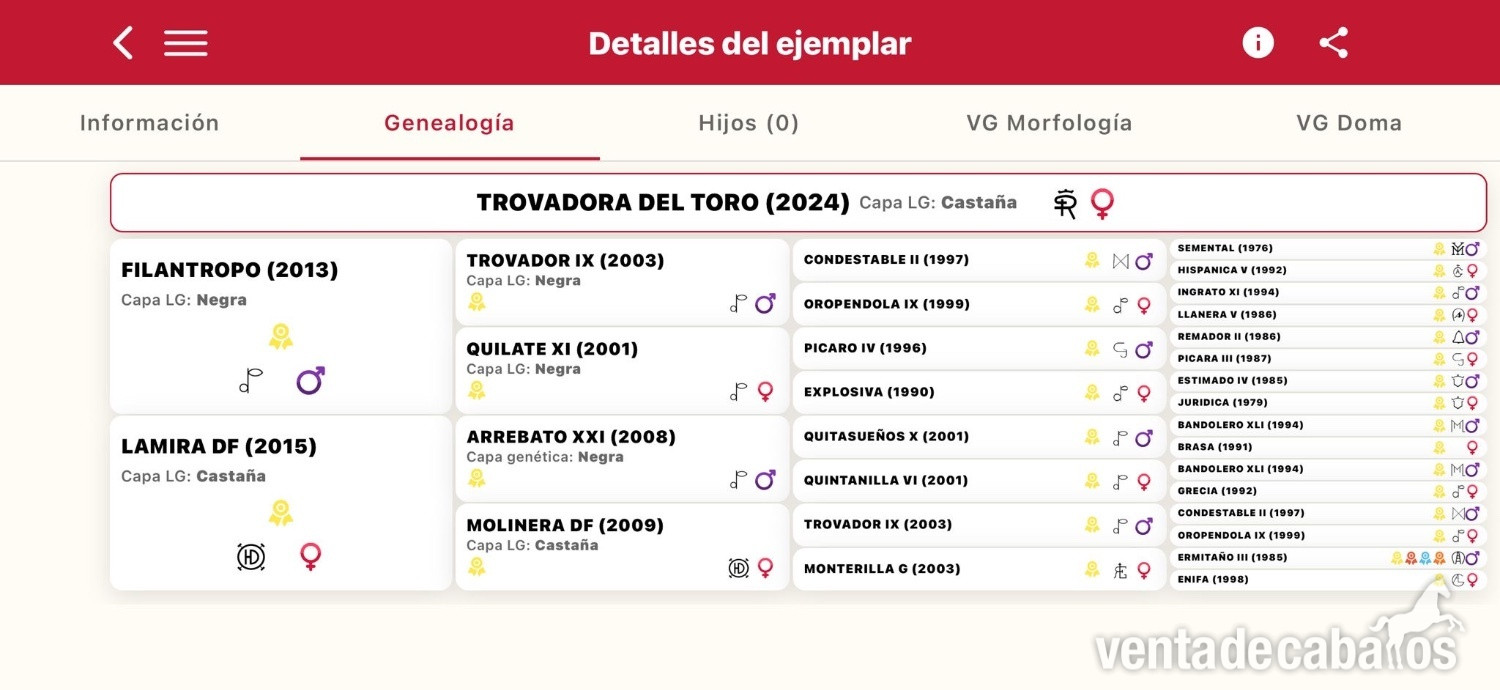 En venta potra "Valdeolivas" - EMPTY
