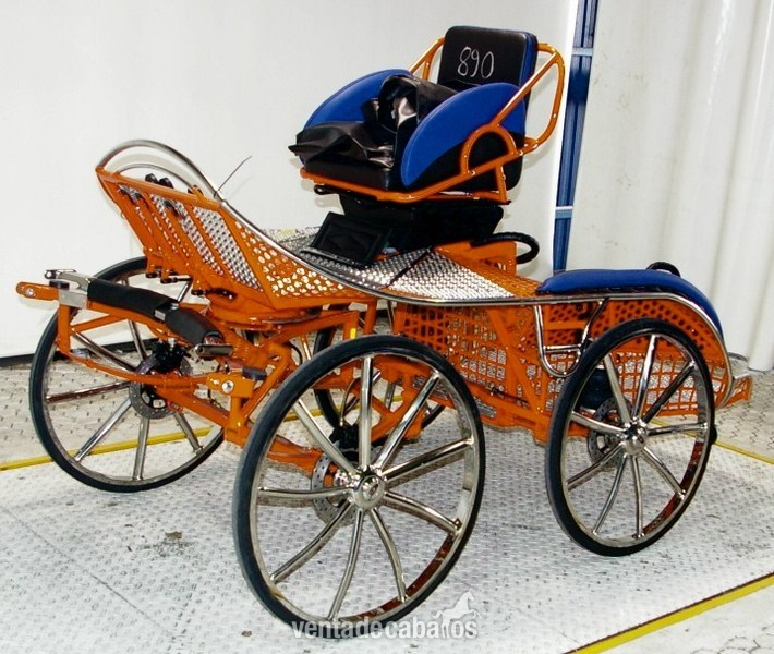 Mas de 150 modelos de carruajes