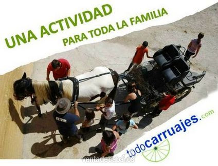Mas de 150 modelos de carruajes in 