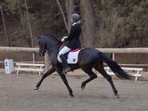 Venta precioso pony