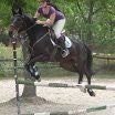 Caballo de Deporte Español (CDE)