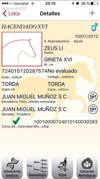SE VENDE POTRO P.R.E