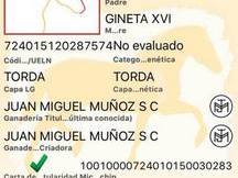 SE VENDE POTRO P.R.E