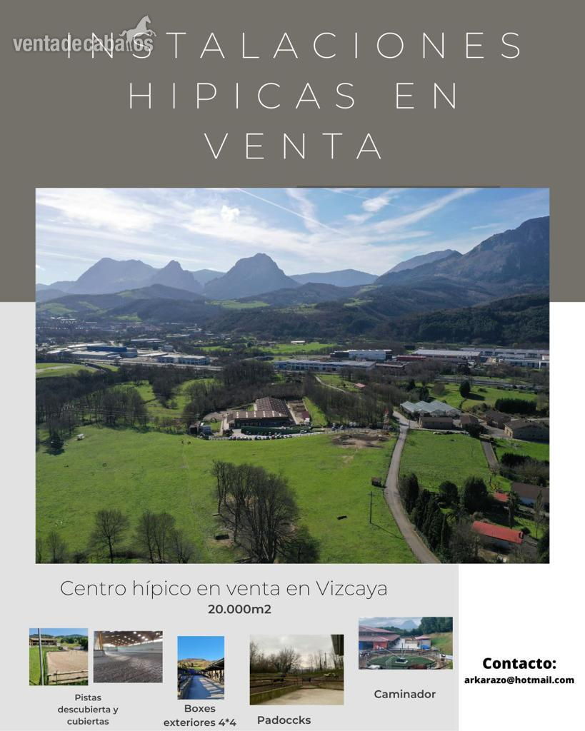 Instalaciones hipicas en venta in Vizcaya 
