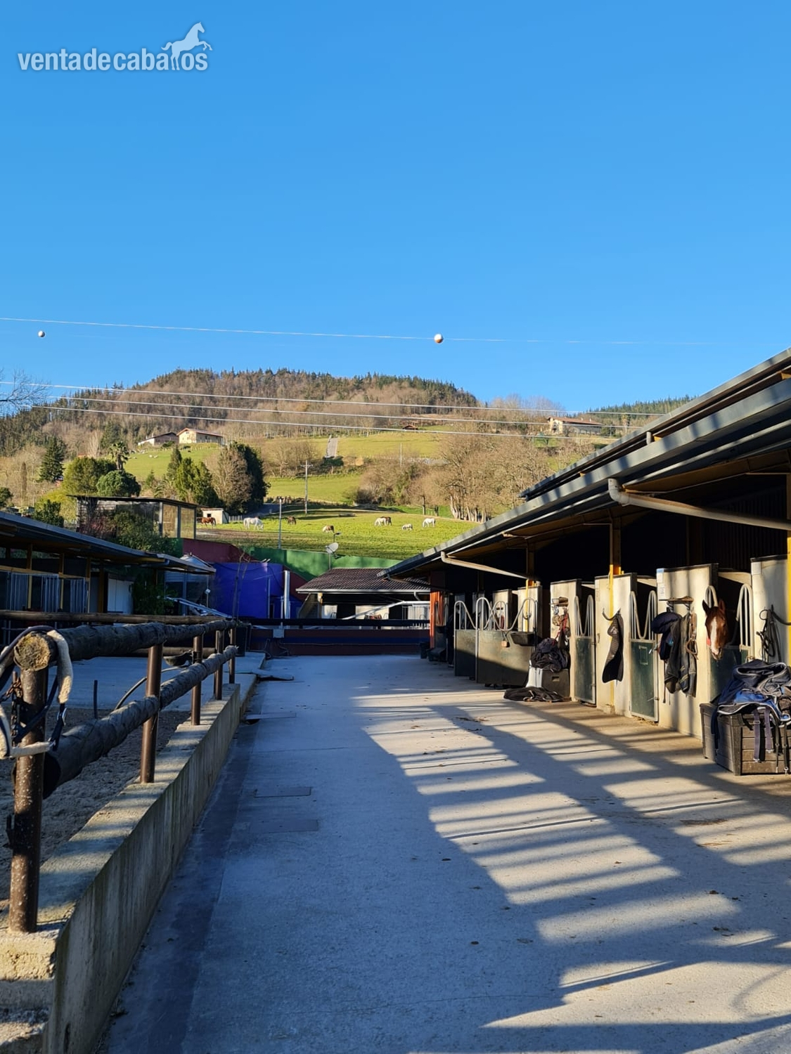 Vizcaya  Instalaciones hipicas en venta