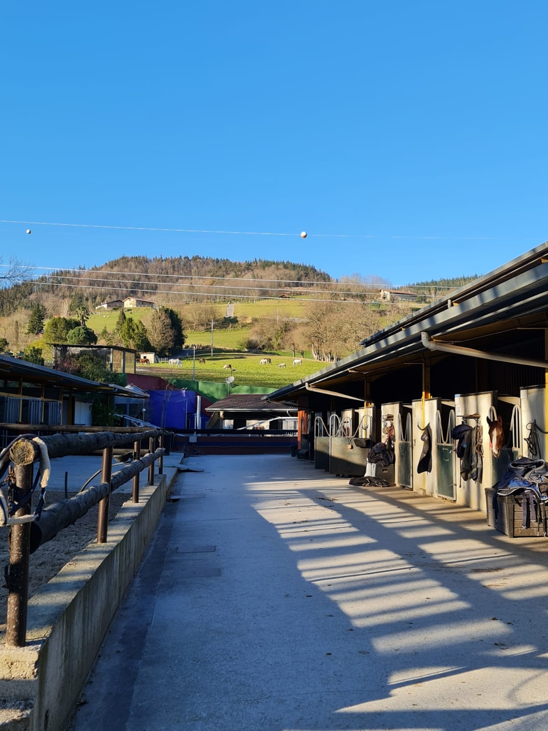 Vizcaya  Instalaciones hipicas en venta