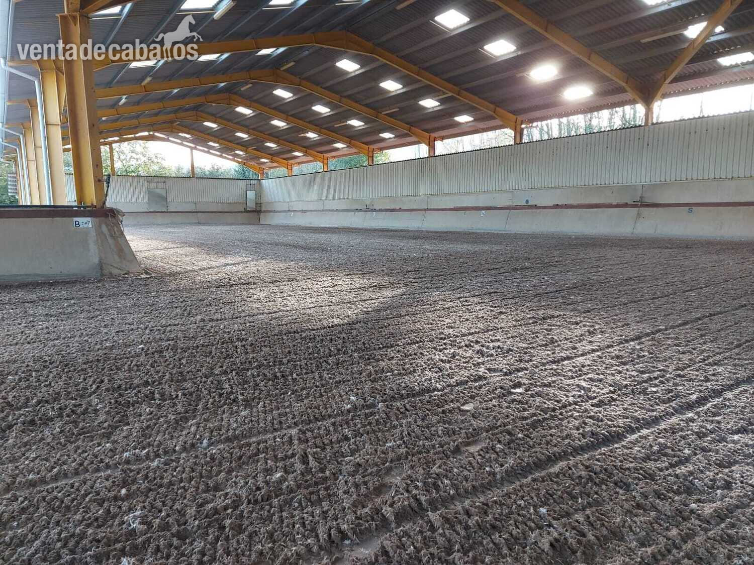 Instalaciones hipicas en venta - Hípicas y establos en venta
