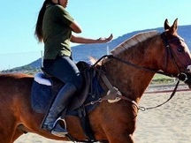 Vendo caballo PRA