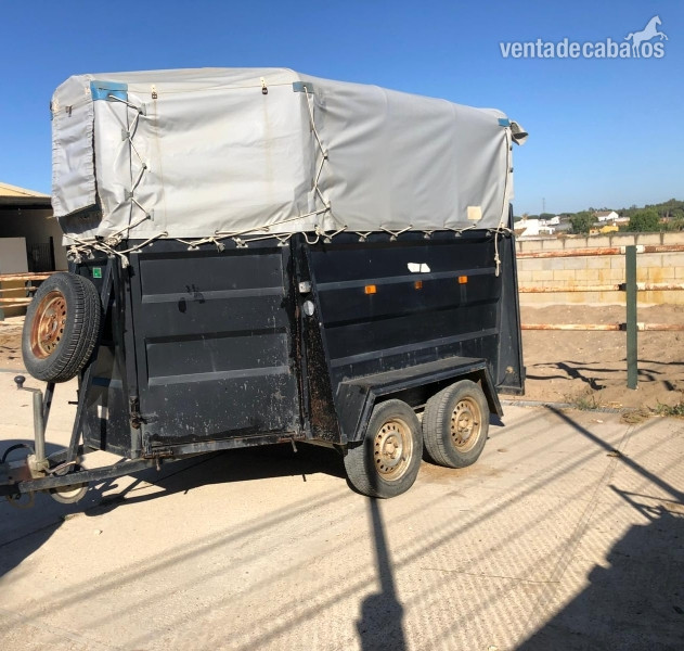 van dos caballos muy ciudado año 2004 in 
