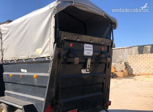 van dos caballos muy ciudado año 2004