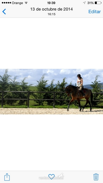 Cruzado {TYPE}