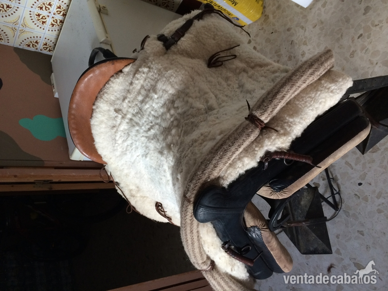 vendo montura