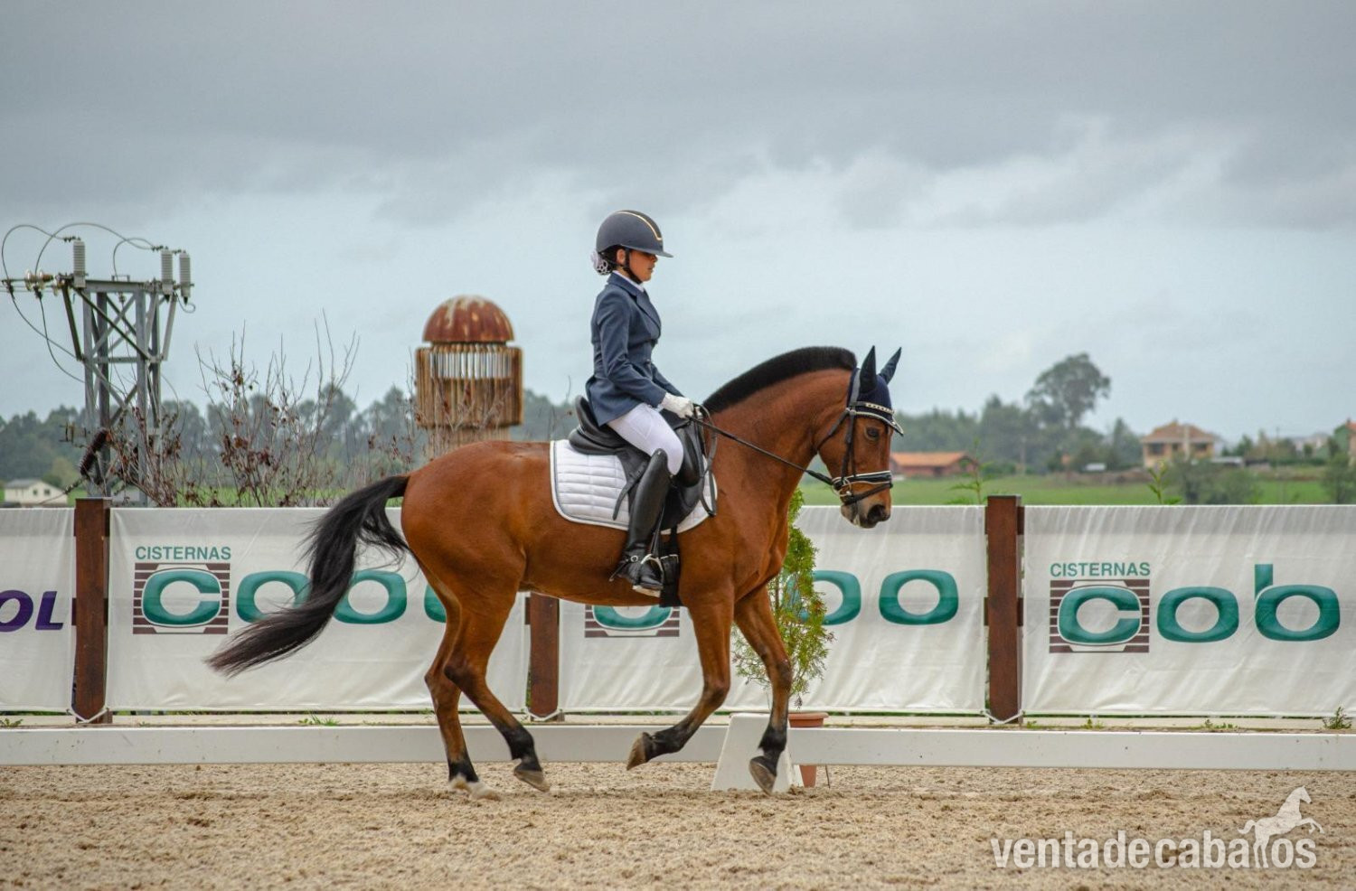 Ponis Pony Club EMPTY - PONY C DOMA CLÁSICA NIVEL 3