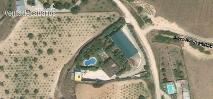 Venta de Finca El Molar (Madrid) in El Molar