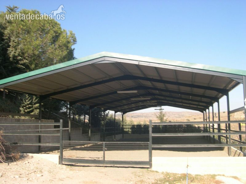 El Molar Venta de Finca El Molar (Madrid)