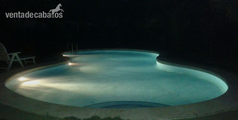 Venta de Finca El Molar (Madrid) - Finca ecuestre in El Molar