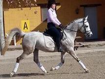 EN VENTA PONY C