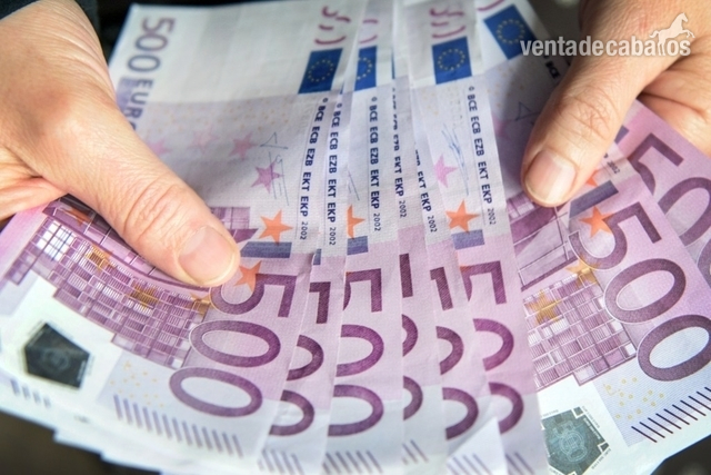 Financiamiento y préstamos