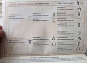 Pura raza española PRE