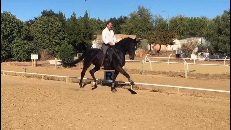 Oldenburgo