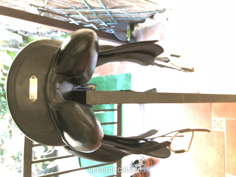 Zaldi San Jorge in 