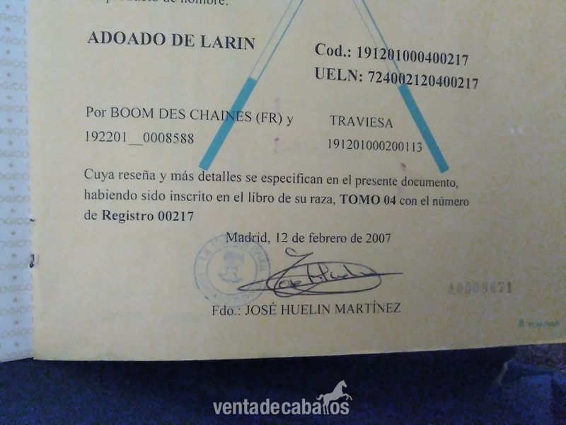  Yegua de salto
