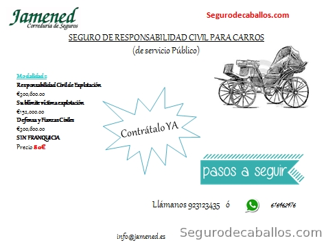 Seguro de carruajes in 