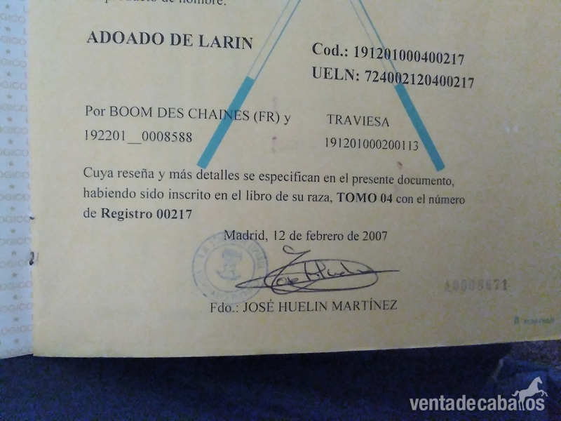  Yegua de salto