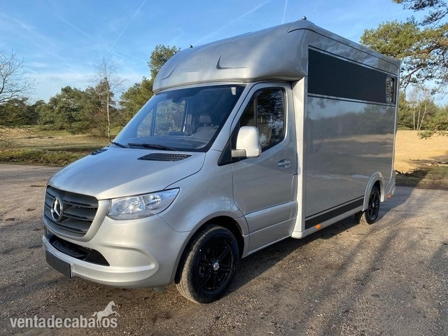 Vehículo de caballos Mercedes-Benz 2019 in 