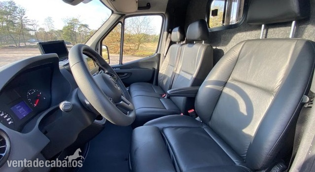 Vehículo de caballos Mercedes-Benz 2019 - Transportes de caballos in 