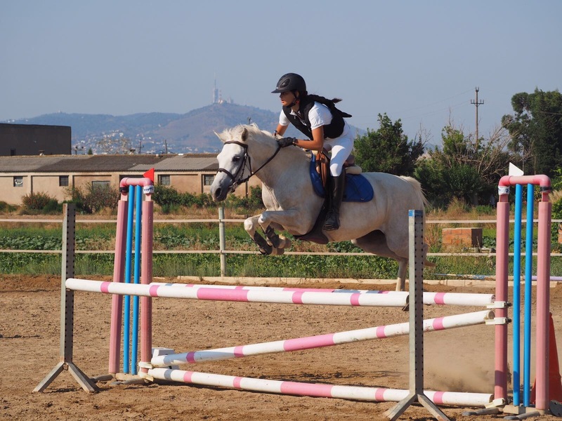 VENDO PONI D - Connemara y Arabe