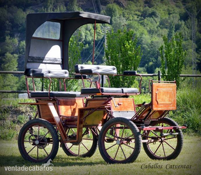 Carruaje mediano seminuevo en venta !! in 