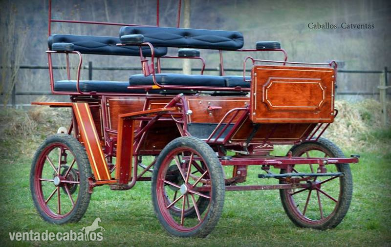 Carruaje mediano seminuevo en venta !! - Carruajes y Enganches in 