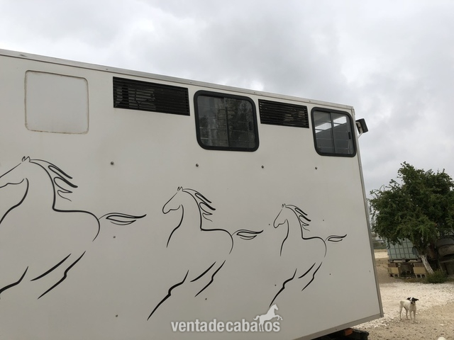  Camión de transporte de caballos 