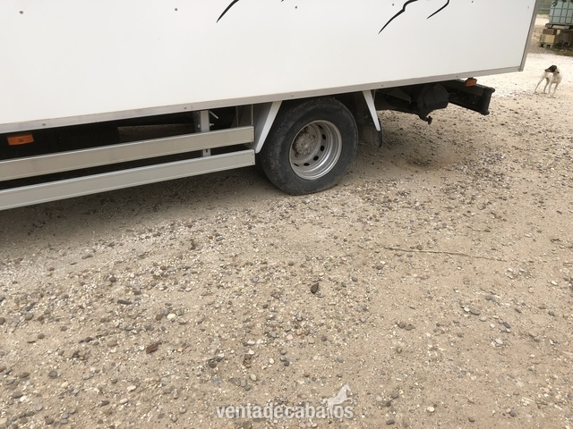 Camión de transporte de caballos  - Transportes de caballos in 