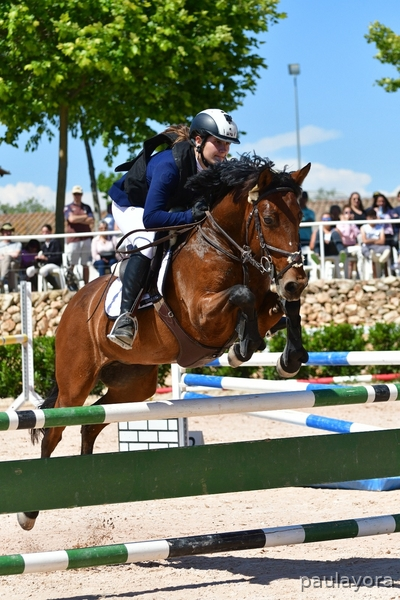 Pony D en venta in 