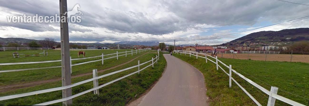 VENTA HÍPICA URBANA EN OVIEDO