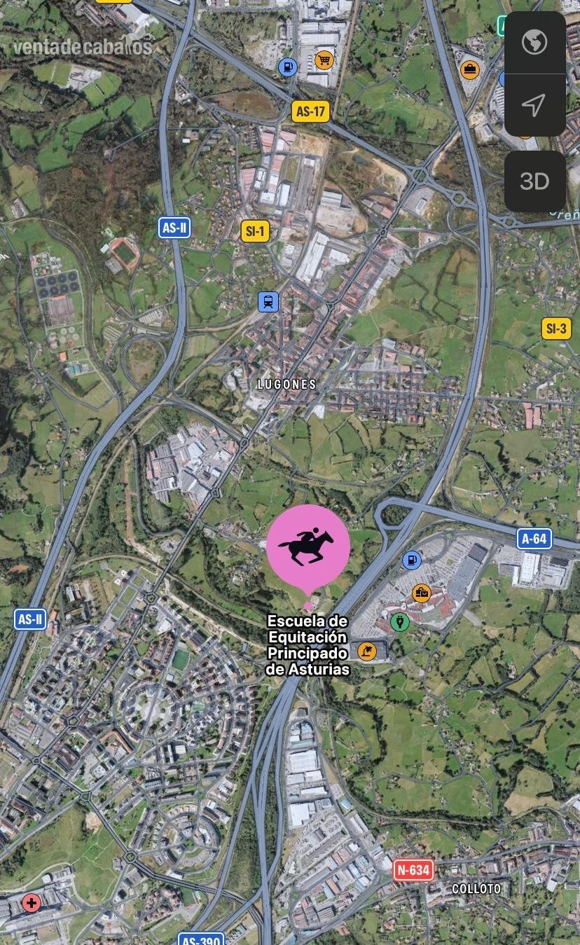 Hípicas y establos en venta - VENTA HÍPICA URBANA EN OVIEDO in oviedo