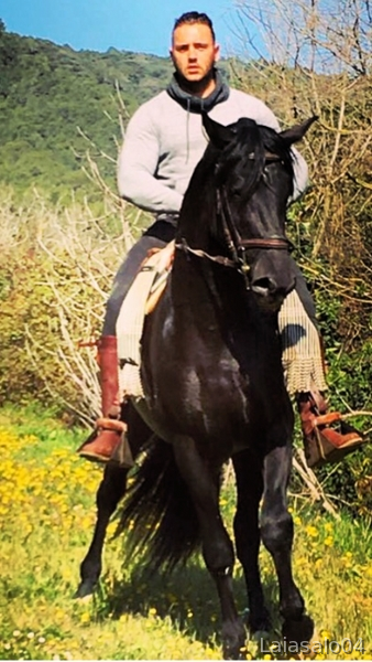 Caballo pre negro in 
