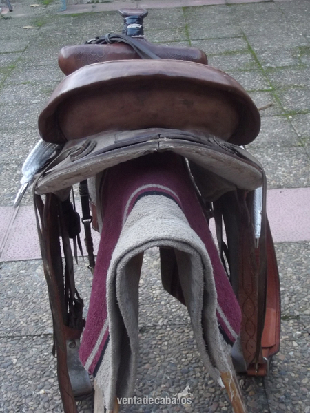 Silla de montar western - Sillas de montar in 
