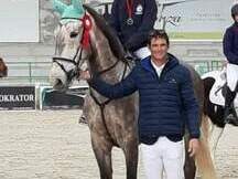 CABALLO SILLA FRANCES PARA COMPETIR