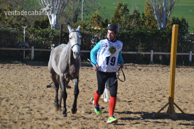 Hispano-Arabe